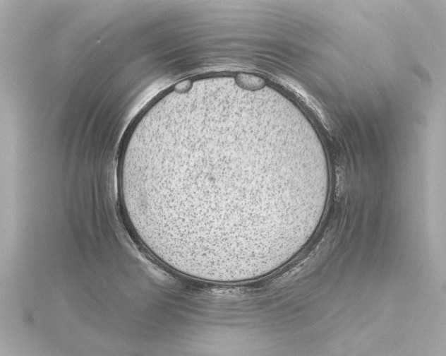 X0000115281274200911271959