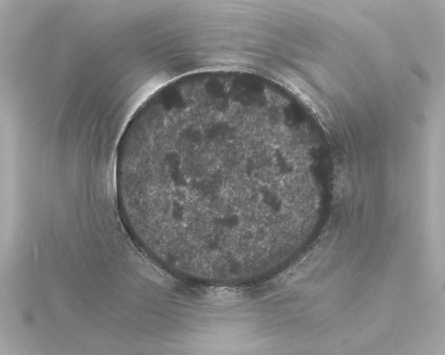 X0000115281275200911271959