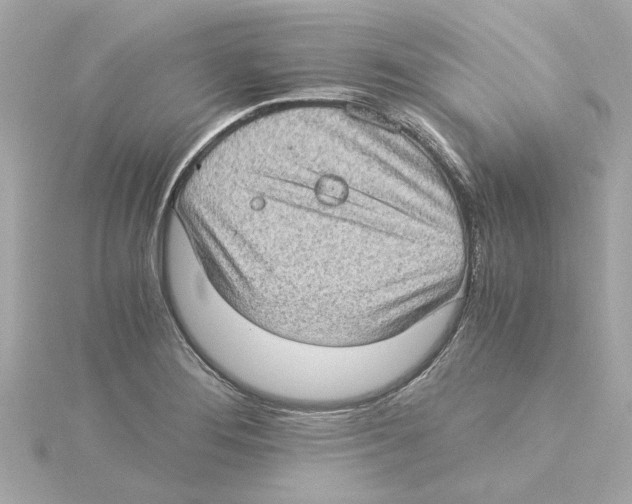 X0000115281276200911271959