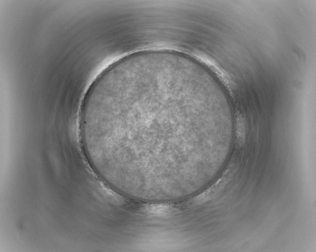 X0000115281278200911271959