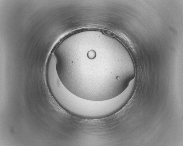 X0000115281280200911271959