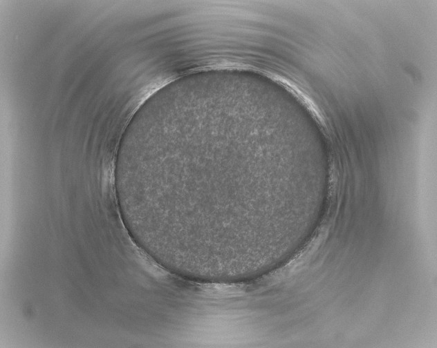 X0000115281281200911271959