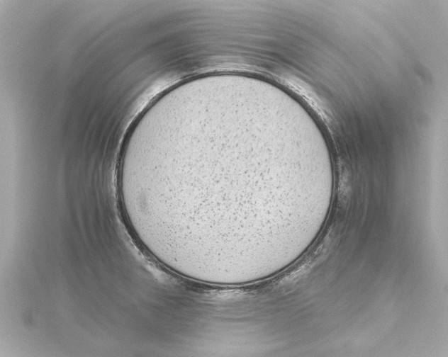 X0000115281282200911271959