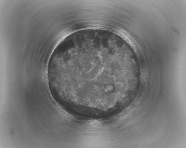 X0000115281283200911271959