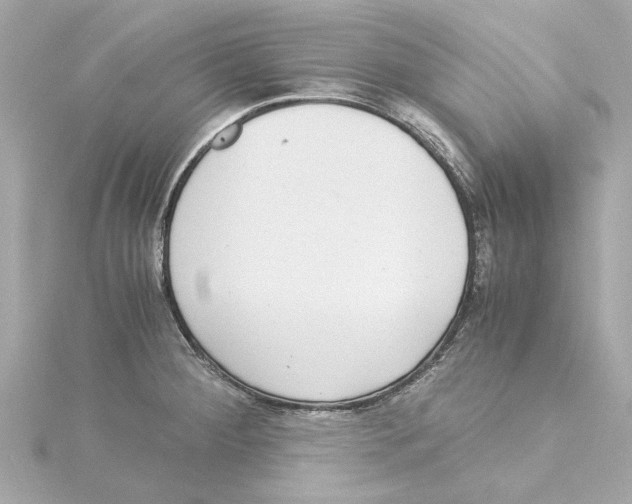 X0000115281284200911271959