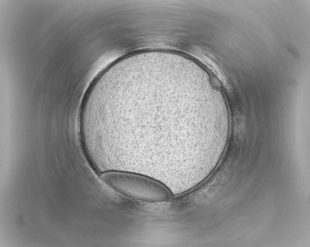 X0000115281285200911271959