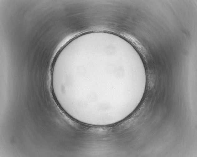 X0000115281286200911271959