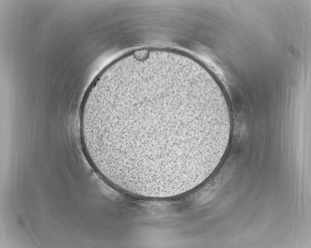 X0000115281287200911271959