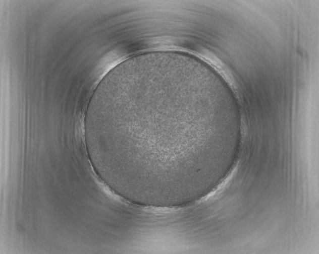 X0000115281289200911271959