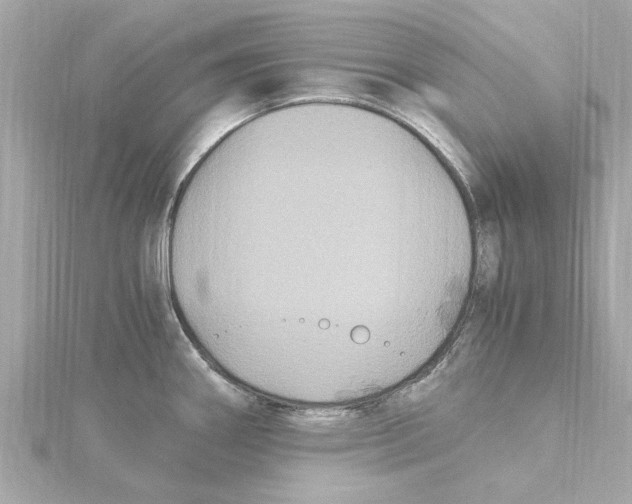 X0000115281290200911271959