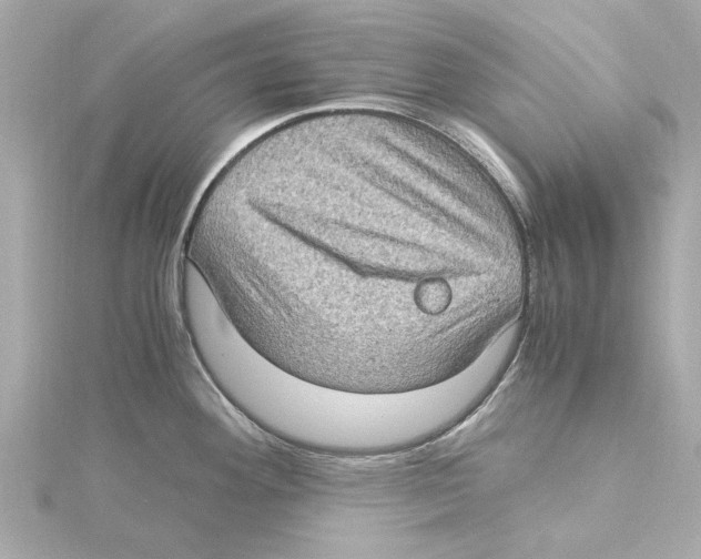 X0000115281292200911271959