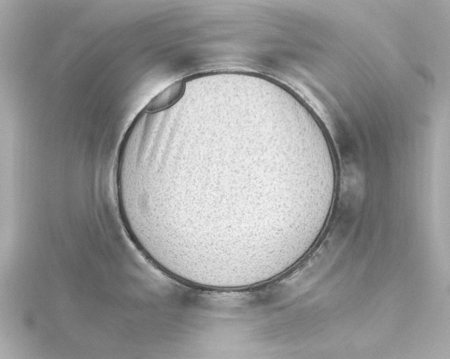 X0000115281293200911271959