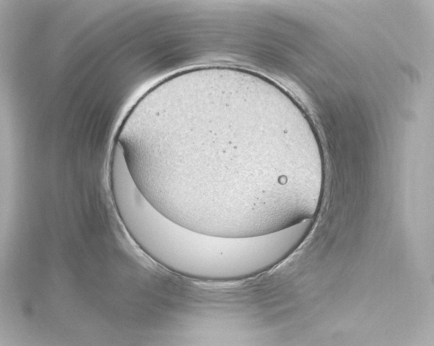 X0000115281296200911271959