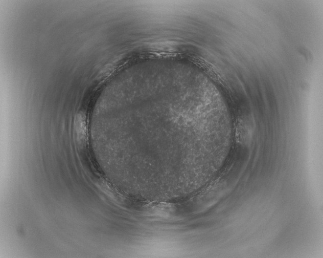 X0000115281298200911271958