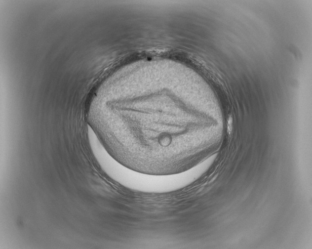 X0000115281299200911271958