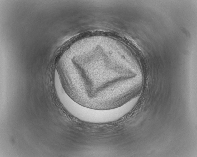 X0000115281303200911271958