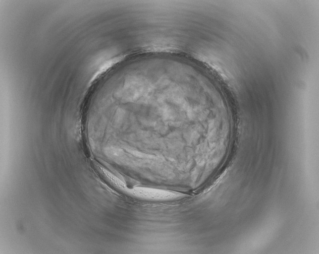 X0000115281306200911271958