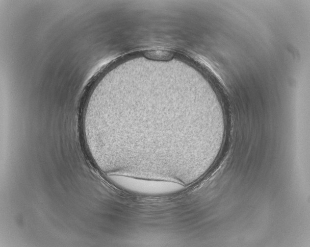 X0000115281307200911271958