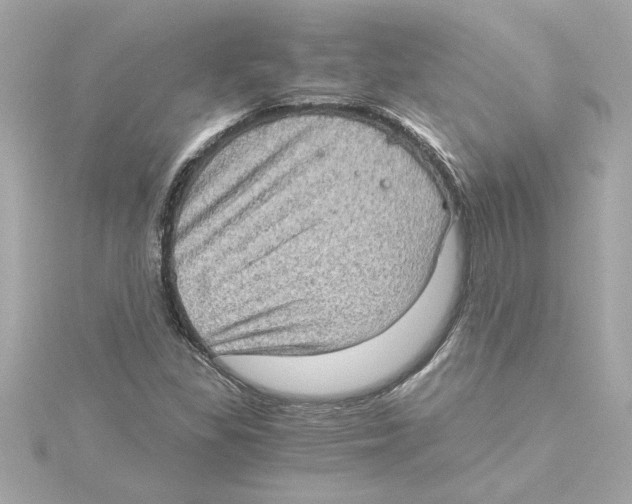 X0000115281309200911271958