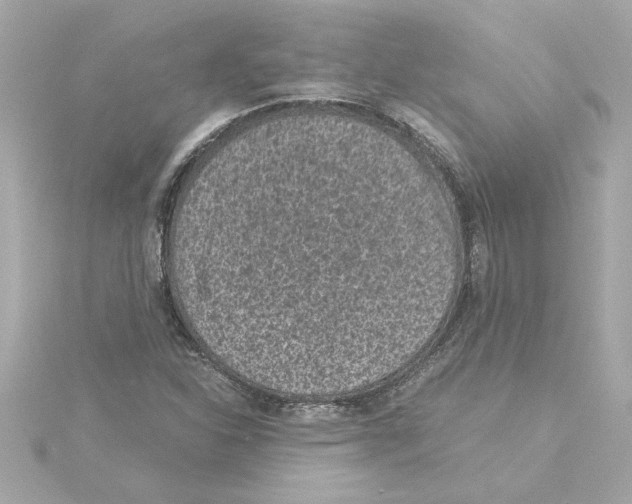 X0000115281310200911271958