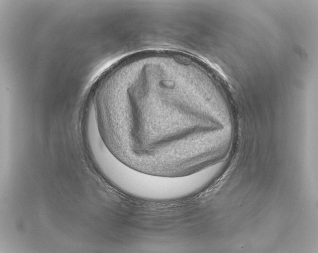 X0000115281311200911271958