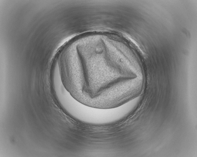 X0000115281315200911271958