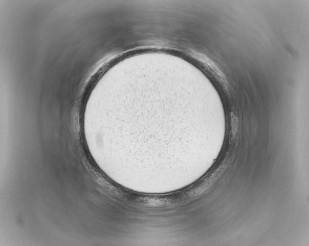 X0000115281318200911271958