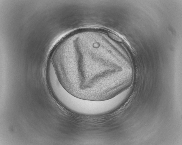 X0000115281319200911271958