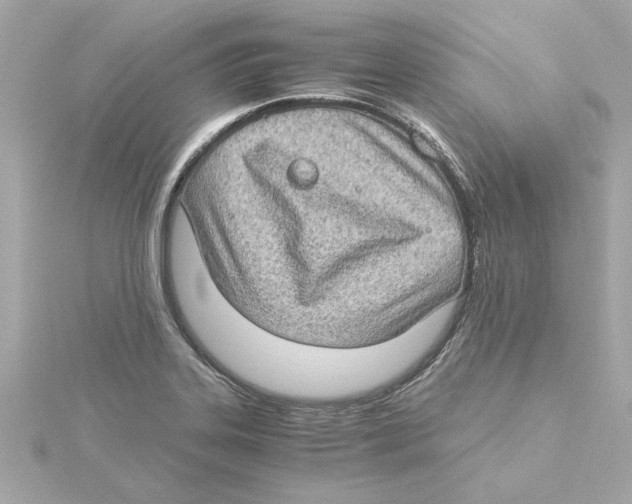 X0000115281323200911271958