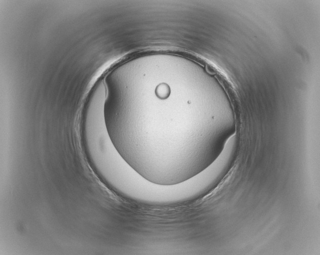 X0000115281325200911271958