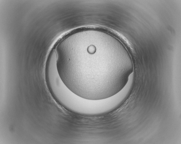 X0000115281327200911271958