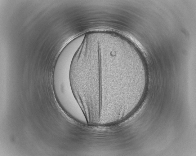 X0000115281329200911271958