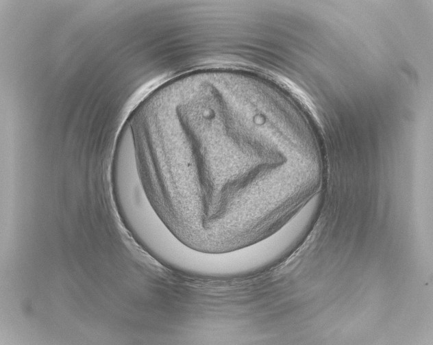 X0000115281330200911271958