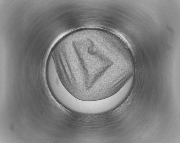 X0000115281331200911271958