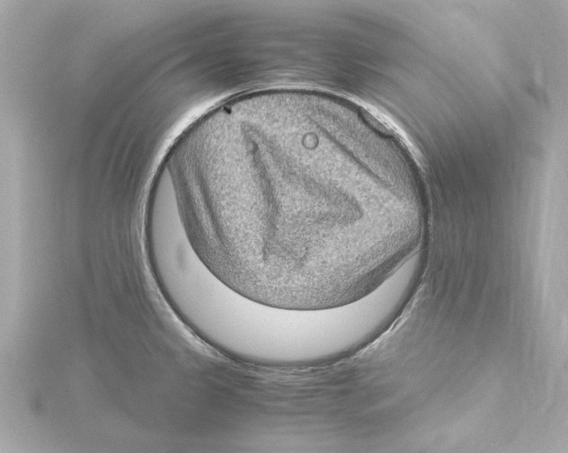 X0000115281333200911271958