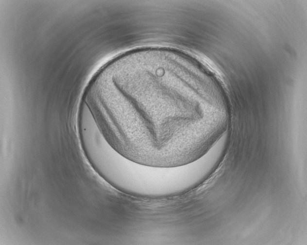 X0000115281334200911271959