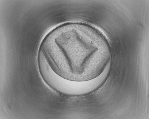 X0000115281335200911271959