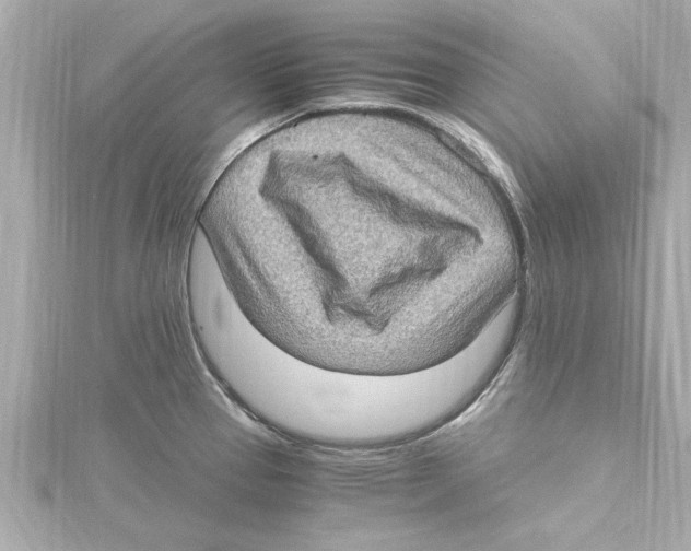 X0000115281337200911271959