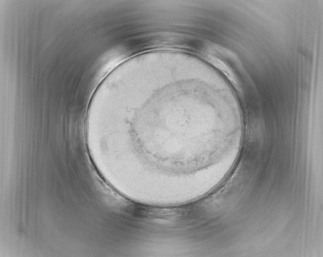 X0000115281338200911271959