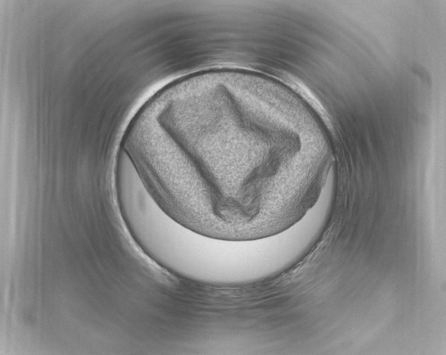 X0000115281339200911271959