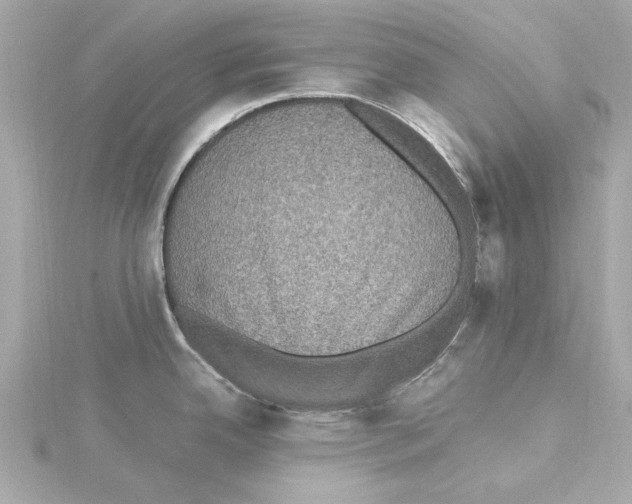 X0000115281342200911271959