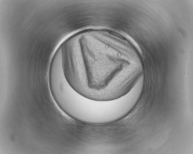 X0000115281343200911271959