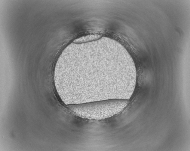 X0000115281345200911271958