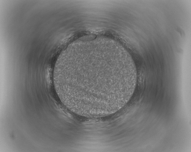 X0000115281346200911271958