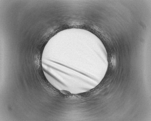 X0000115281348200911271958