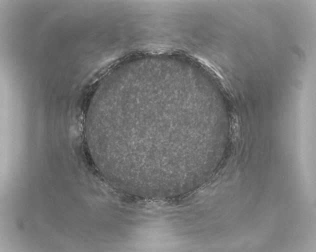 X0000115281349200911271958