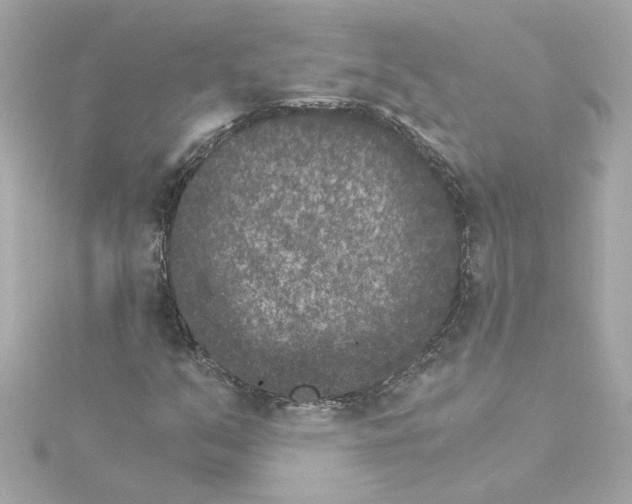 X0000115281351200911271958