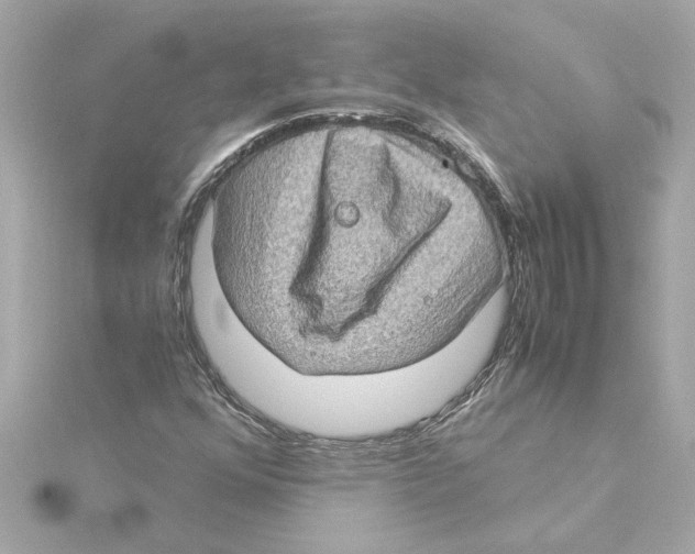 X0000115281352200911271958