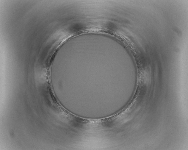 X0000115281353200911271958