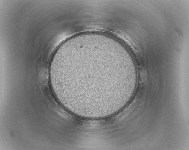 X0000115281355200911271958